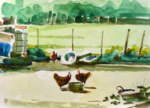  Gallinero - 21x29