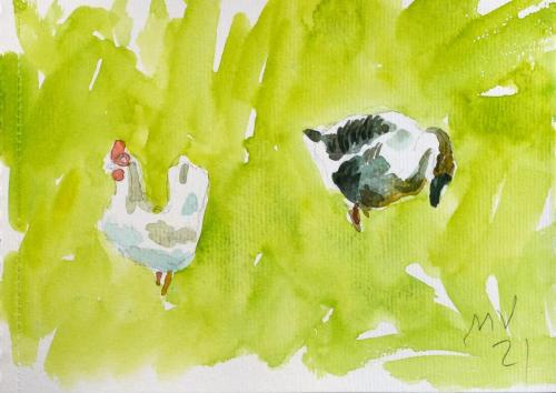Aves - 14x21