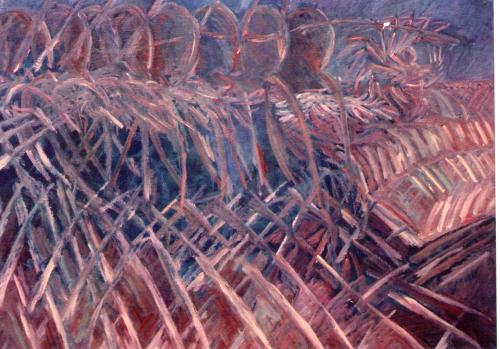 Dinamismo La Caccia del canguro 81x100 -1991